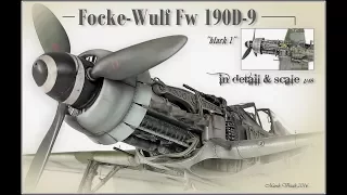 Focke Wulf Fw 190D-9 Dora  \