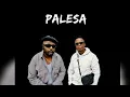 Download Lagu DJ Maphorisa, Xduppy \u0026 Dj Tira - Palesa feat. Scotts Maphuma, Charf Rizzer [Amapiano Gqom Version]