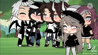 Protector meme from my Tiktok
