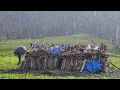 Download Lagu This IS Surviving Life in Mountain Village || Beautiful Nature With Rainy Season || Original Life ||