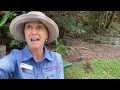 Seasonal calendar Introduction by Helen