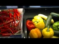 Metropolitan Seafood Gourmet Promotional