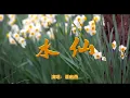《水仙》歌：ユウ燕 （潘幽燕）