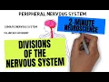 2-Minute Neuroscience Divisions of the Nervous System