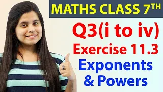 Q 3(i to iv), Ex 11.3 - Exponents & Powers - Chapter 11, Maths Class 7th - NCERT