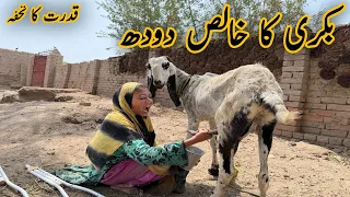     Village Life Daily Routine | Washing Clothes & Milking a Goat 🐐🌿 #shorts 