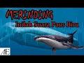 Download Lagu BIKIN MERINDING - INILAH SUARA PAUS BIRU (HEWAN TERBESAR DI DUNIA)