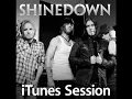 Shinedown - Call Me (iTunes Session)