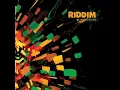 Deja Que Fluya - Riddim