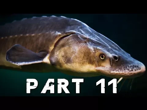 Download MP3 FAR CRY 5 Walkthrough Gameplay Part 11 - THE ADMIRAL FISH (PS4 Pro)