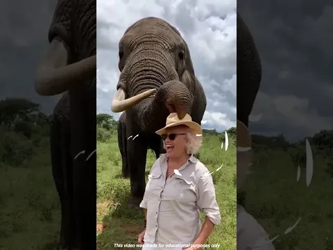 হাতির সুরের পাওয়ার 😱 || Power of Elephant || Mr. Sujay #mrsujay #facts