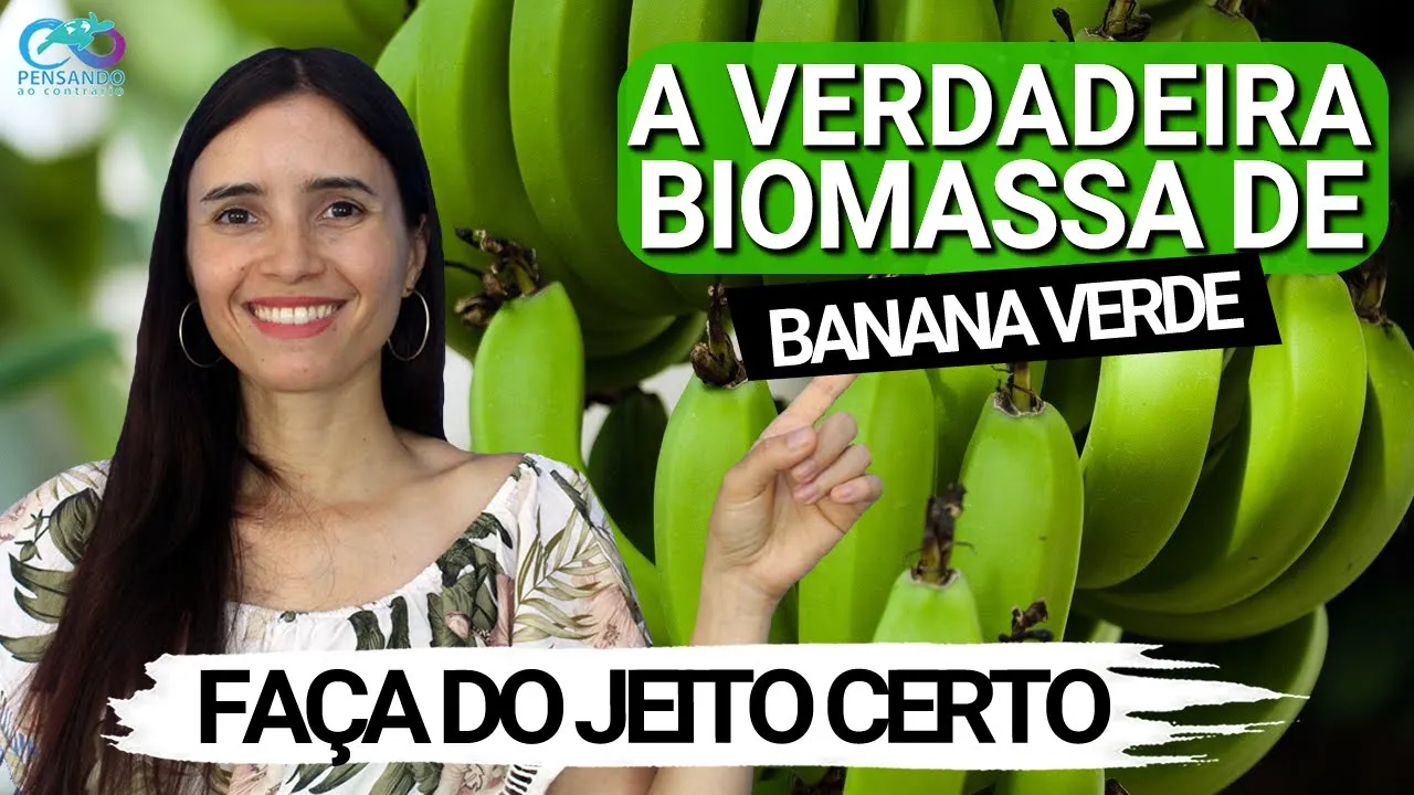 Como ORGANIZO os almoços da SEMANA TODA em 2 HORAS | Cozinha Bach 2 anos