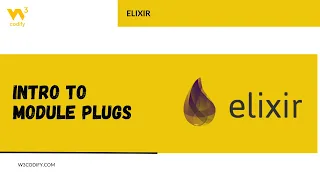 Intro to Module Plugs Elixir W3Codify