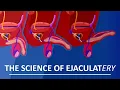 Download Lagu Behind The Sperm and Ejaculation