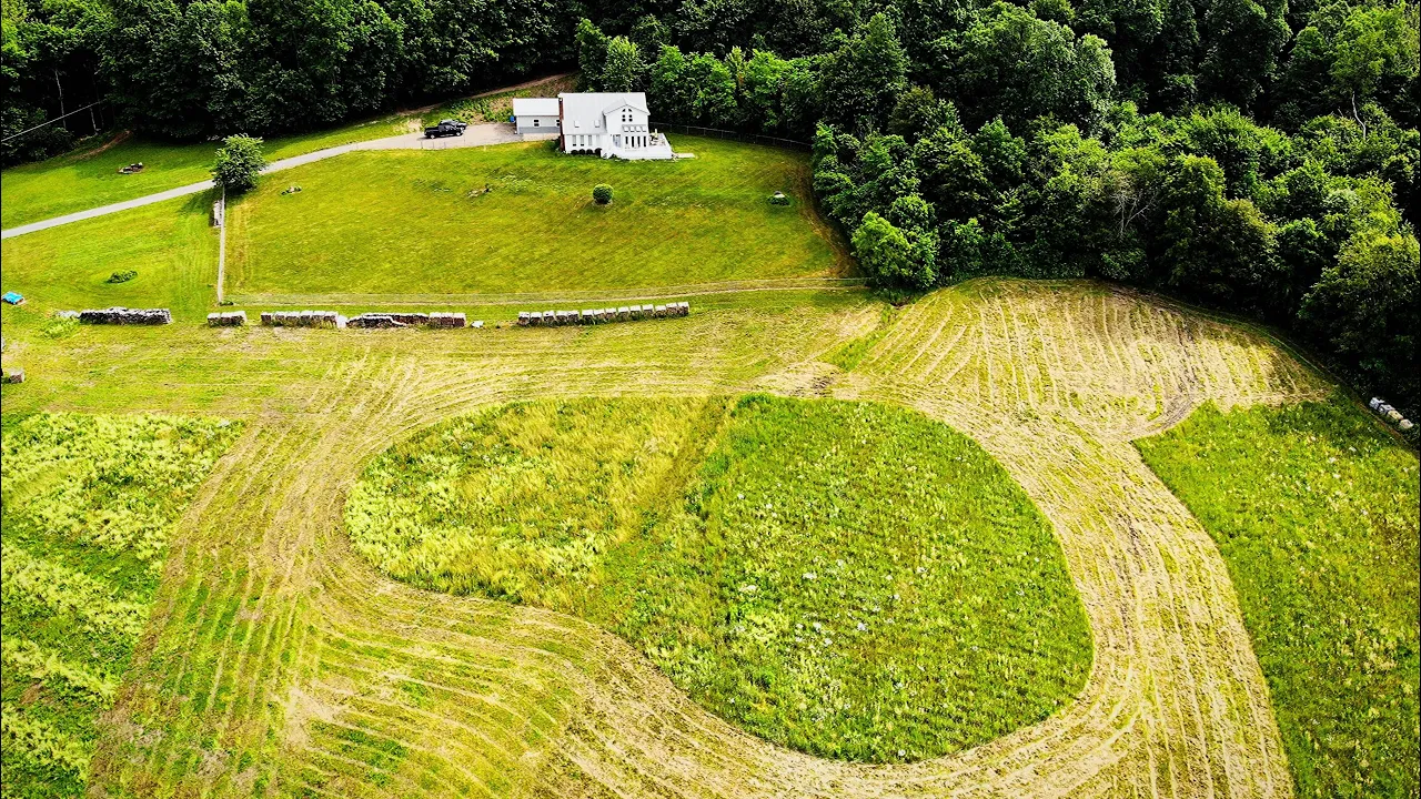 If You Want To Dig A Pond, This Is a MUST!