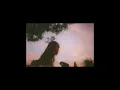 seventeen - peach pit