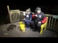Download Lagu Vrijdagavond in afwachting van de komst van onze wasberen