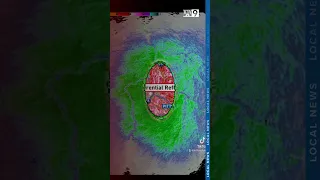 Spotted lanternflies showing up on radar