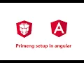 PrimeNG Installation in Angular Project PrimeNG 16 Angular 16