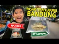 Download Lagu SIDAK HEWAN PALING MURAH DAN PALING MAHAL YANG ADA DI PASAR IKAN TERSELUBUNG BANDUNG! MURAH MERIAH!