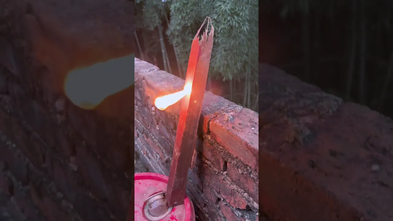 Backyard Science
