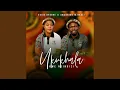 Download Lagu Amathambo Ezinyoka