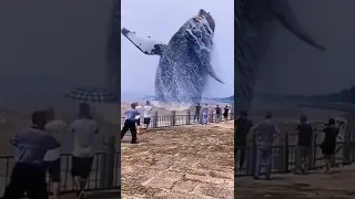 Shark الحوت الازرق صوت مخيف 