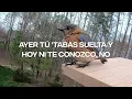 Jota Rosa, Alvaro Diaz - Detective (Lyric Video) | CantoYo