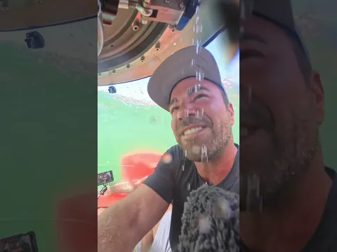 I Discovered a Lost Plane