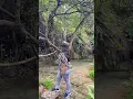 Download Lagu Guess the place❣️#salalah #worldofsheebaz #shorts #shortvideo #ayntobruk #travelvlog