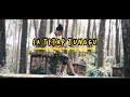 Sa Tetap Tunggu_Dj Qhelfin (Official Video Lirik 2022)