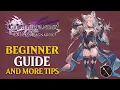 Granblue Fantasy Relink Endless Ragnarok Beginner Guide