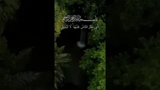 فأقم وجهك للدين حنيفا فطرة الله التي فطر الناس عليها لا تبديل لخلق الله سعد الغامدي قرآن 