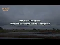 Intrusive Thoughts: Why Do We Have Weird Thoughts? | ocd talks