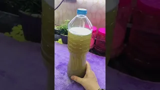 Treatment For Kidney Stones Urinary Tract Infections And Burning Urination 