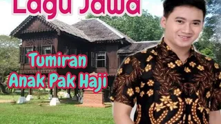 Download Lagu Jawa 》》 Tumiran Anak Pak Haji MP3