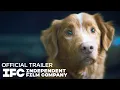 Download Lagu Good Boy - Official Trailer | HD | IFC Films