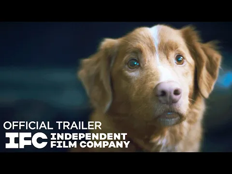 Video Thumbnail: Good Boy - Official Trailer | HD | IFC Films