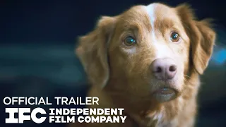 Good Boy - Trailer IFC Films