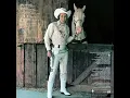 Glen Campbell - Rhinestone Cowboy