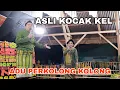 Download Lagu KERJA TAHUN TERBARU 2024 DESA SUMBER MUFAKAT | ADU PERKOLONG-KOLONG HITS PACIRLA \u0026 ICHE BR GINTING