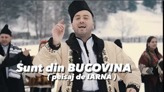 Download IARNA ❄️ SUNT DIN BUCOVINA 🔴 CAND MA LATRA CAINII-N DRUM - @AlexandruBradatan MP3