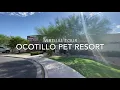 Ocotillo Pet Resort Virtual Tour