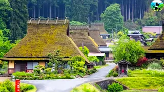 Download Be captivated🤩by the ancient thatched houses in Miyama Kayabuki no sato village, Japan. MP3