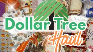 Dollar Tree Haul Fun Finds at the Dollar Tree
