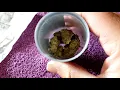 Verilife dispensary Ottawa Ill Wedding crasher OMG