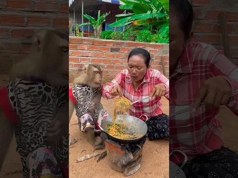 Great video Super SokYaa And Sokhaa Very Adorable & Harmony Animals Around The World #shorts