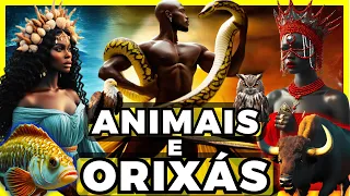 ✨Descubra os Animais Sagrados que Representam os Orixás !!