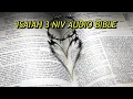 ISAIAH 3 NIV BIBLE with text