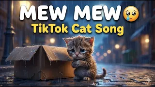 miaw miaw song sad full cat story visuals 
